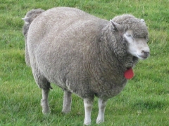 e0185485_1821463.jpg