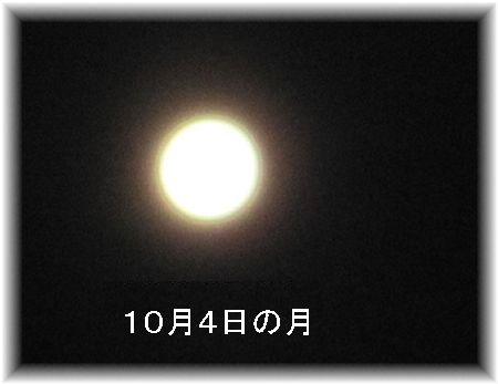 e0143690_1521418.jpg