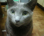 e0115693_16485999.jpg