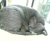 e0115693_1784829.jpg