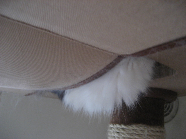 c0005396_12572496.jpg