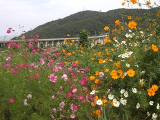 c0187298_2023363.jpg
