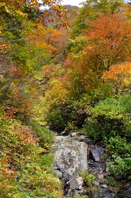 e0137200_21372668.jpg