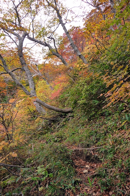 e0137200_21405592.jpg