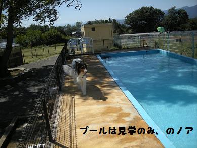 f0081100_0463816.jpg