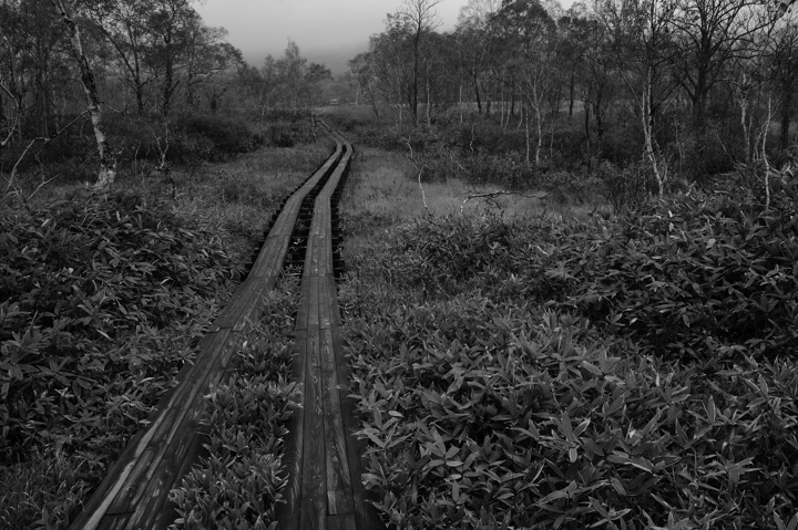 f0178900_20371422.jpg