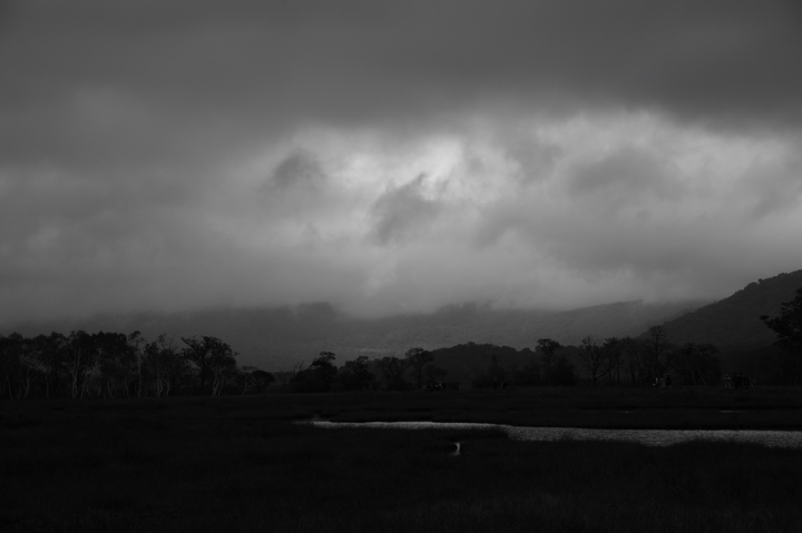 f0178900_20415474.jpg