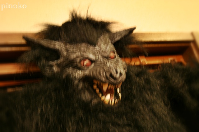 c0184402_2005714.jpg