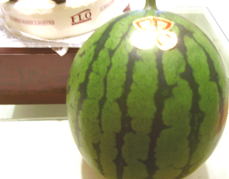 c0110906_830327.jpg