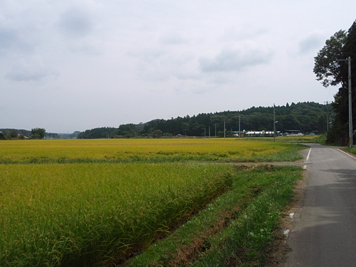 e0066210_0174568.jpg
