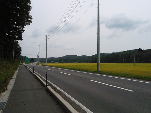 e0066210_0491468.jpg