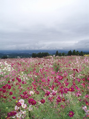f0092416_22242978.jpg