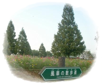 a0053420_17525841.jpg