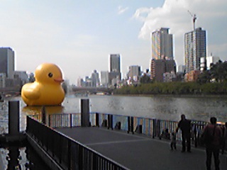 a0019322_12402225.jpg
