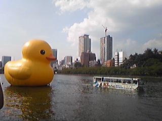 a0019322_12402262.jpg