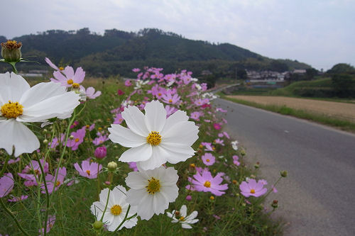 f0007926_2238224.jpg