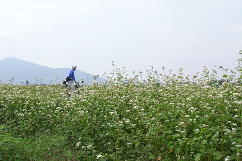 f0007926_22491315.jpg