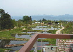 e0164928_10385395.jpg