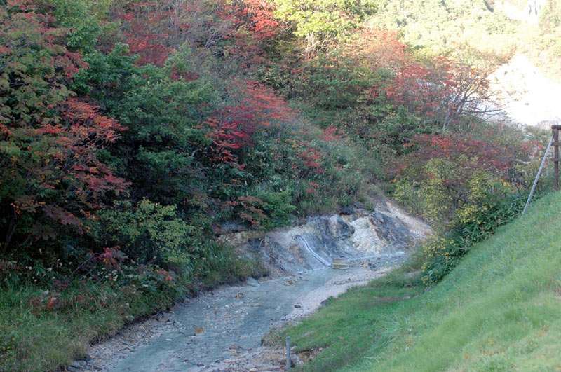 e0037129_0231683.jpg