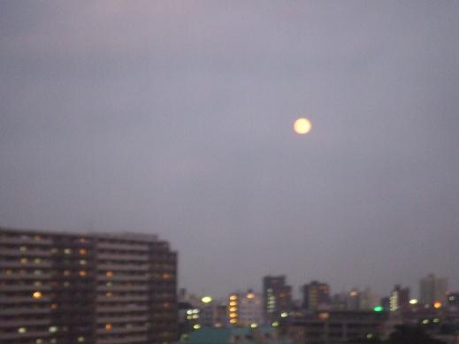 f0156739_0143676.jpg