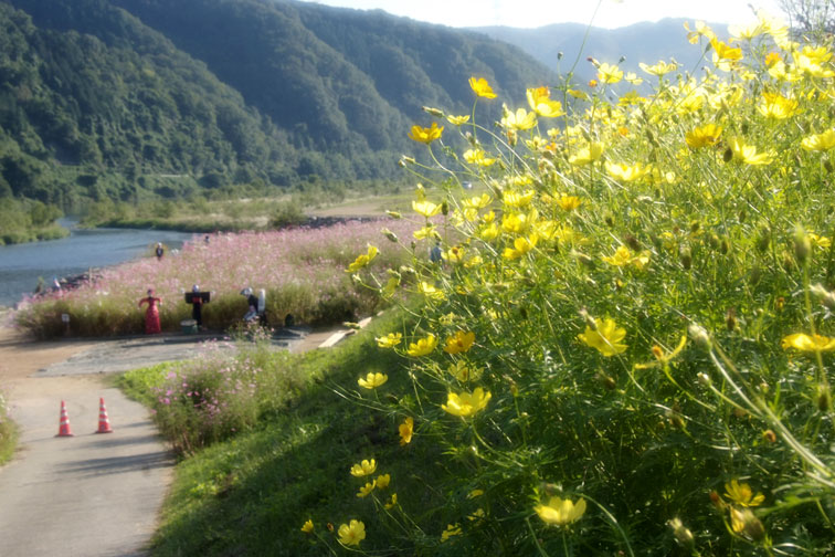 b0075541_2024830.jpg