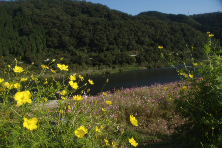 b0075541_20314771.jpg