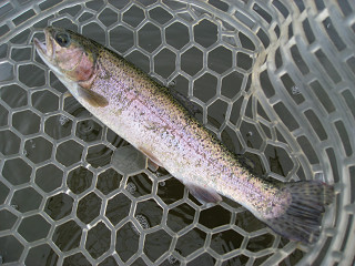 f0065341_172593.jpg