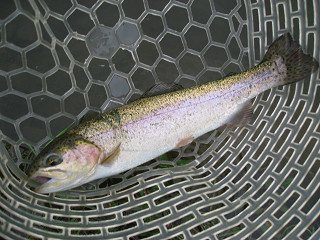f0065341_1733346.jpg