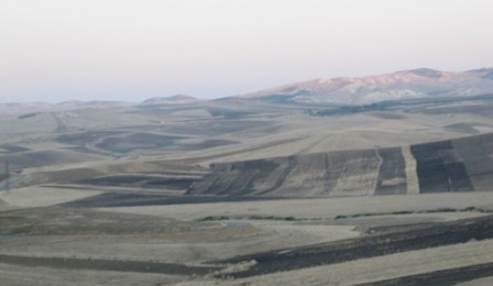 b0173754_0364373.jpg