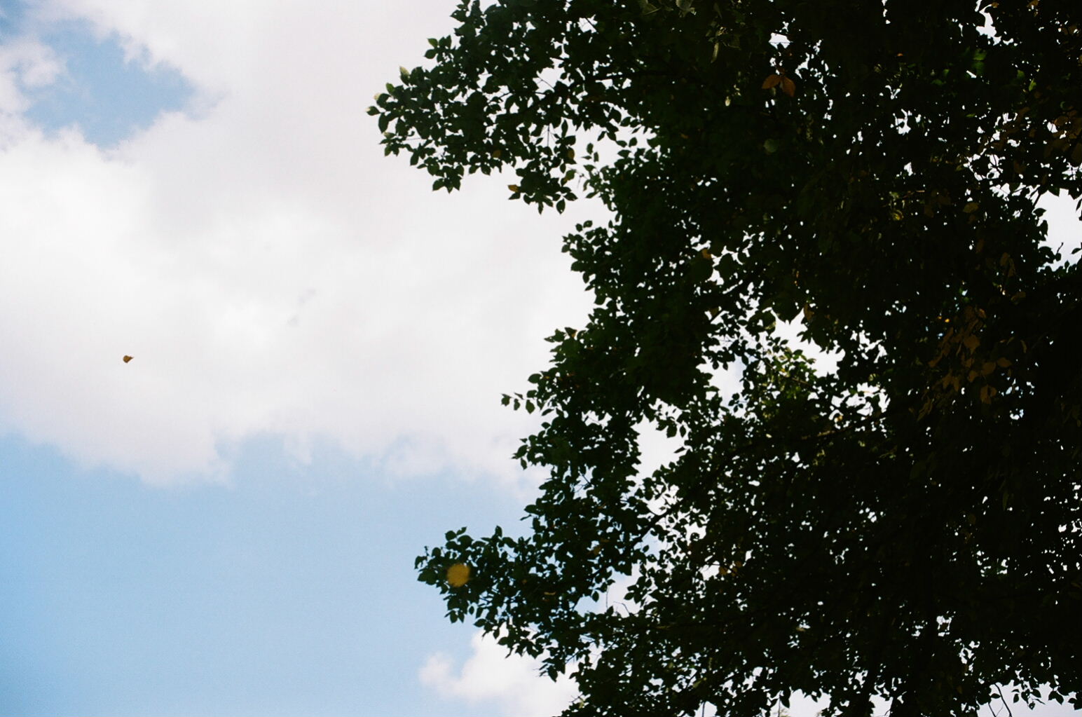 e0134658_1271064.jpg