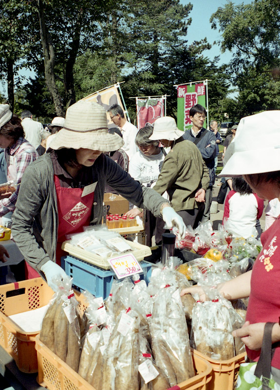 c0084666_2082048.jpg