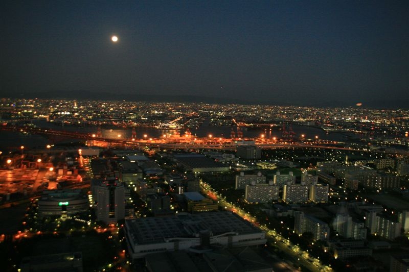 c0185066_8164194.jpg