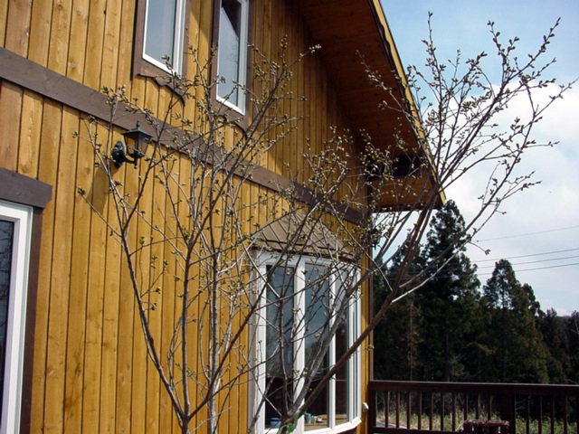 a0033770_1028279.jpg