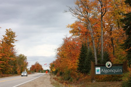 a0100975_6282812.jpg