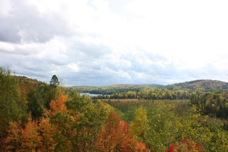 a0100975_73433.jpg
