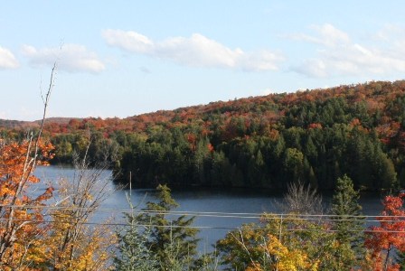 a0100975_8142098.jpg
