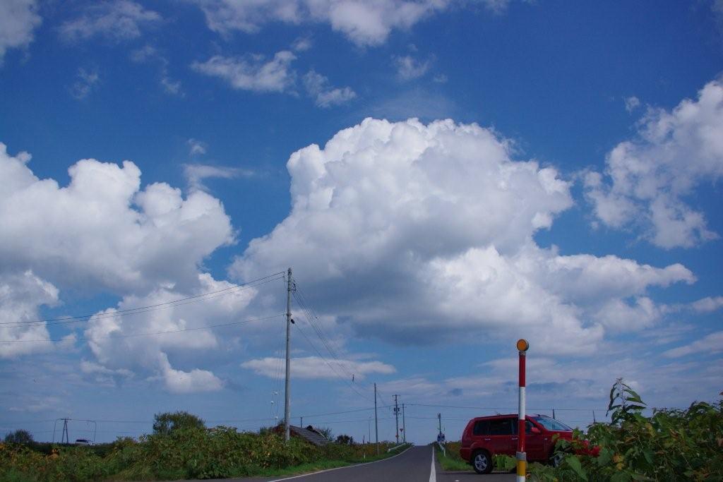 b0165778_8245460.jpg