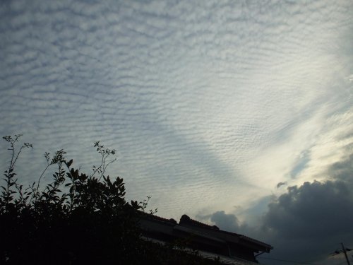 c0058978_037129.jpg
