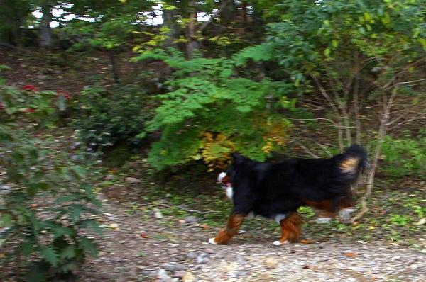 c0149178_1771896.jpg