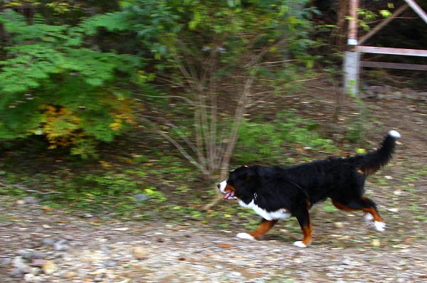 c0149178_1772655.jpg
