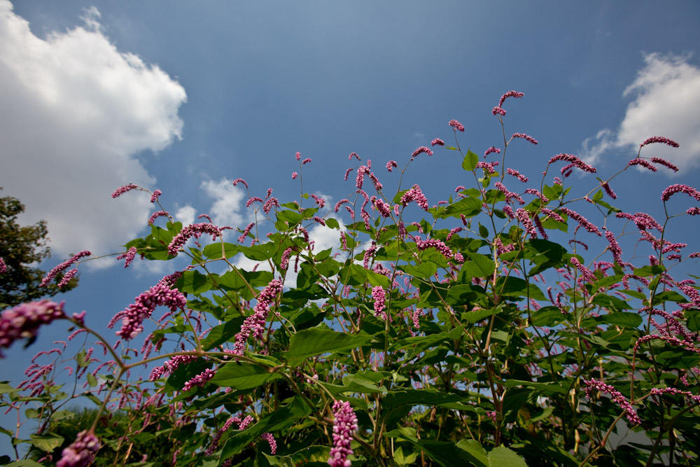 a0083081_16301448.jpg
