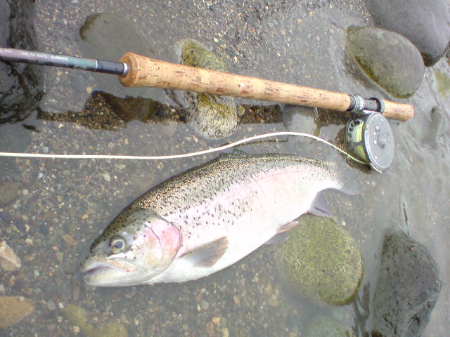 c0157482_1921438.jpg