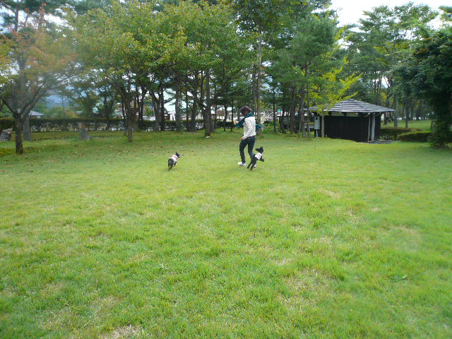 d0120282_0432038.jpg