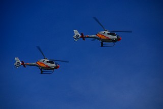 e0155786_5361014.jpg