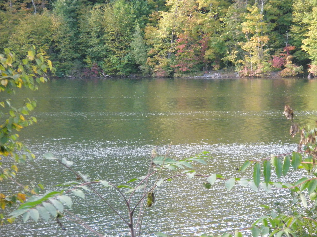 f0024887_8161424.jpg