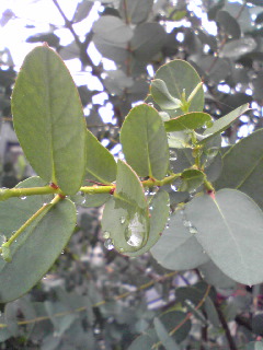 a0077891_7504513.jpg