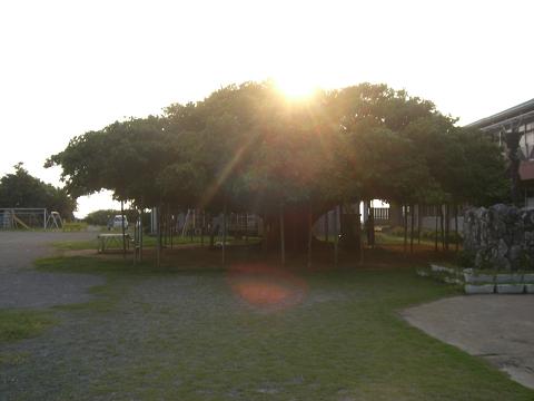b0164291_14563940.jpg