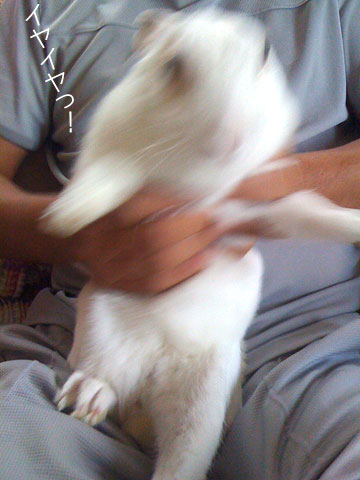 f0201191_1240647.jpg