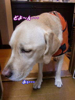 c0028792_21505659.jpg
