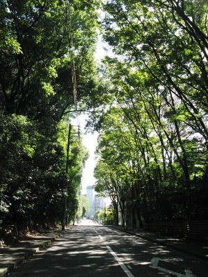 f0103797_10511661.jpg